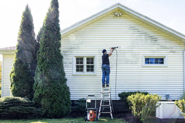 Best House Pressure Washing  in Laurium, MI