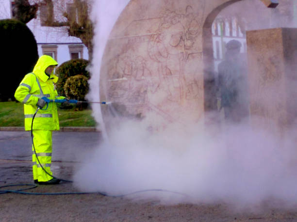 Best Local Pressure Washing Services  in Laurium, MI