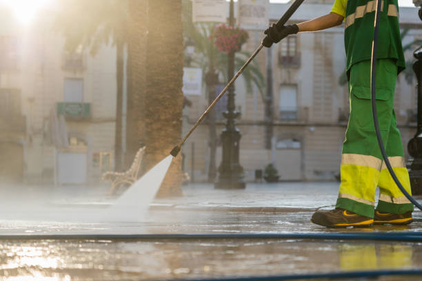 Roof Power Washing Services in Laurium, MI