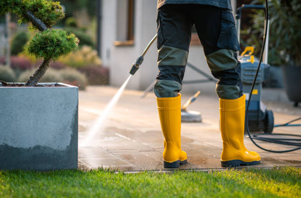 Best Power Washing Near Me  in Laurium, MI